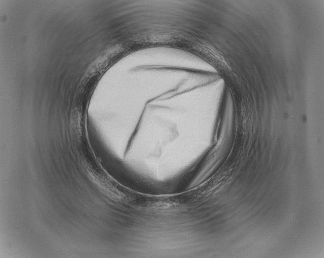 X0000077340542200611171835