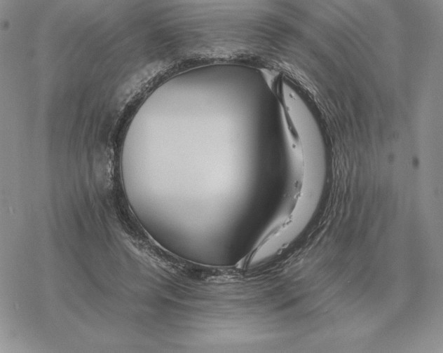 X0000077340544200611171835