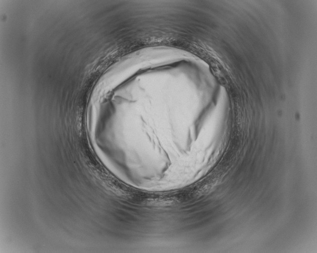 X0000077340545200611171835