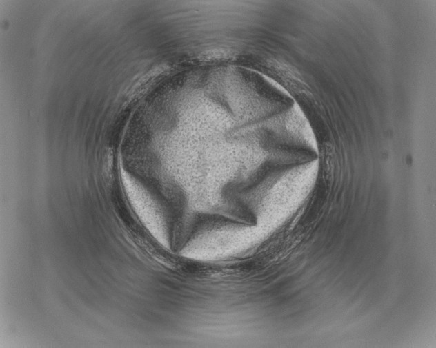 X0000077340550200611171835