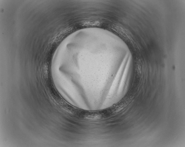 X0000077340551200611171835