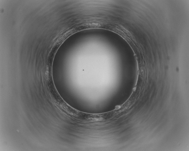X0000077340552200611171835