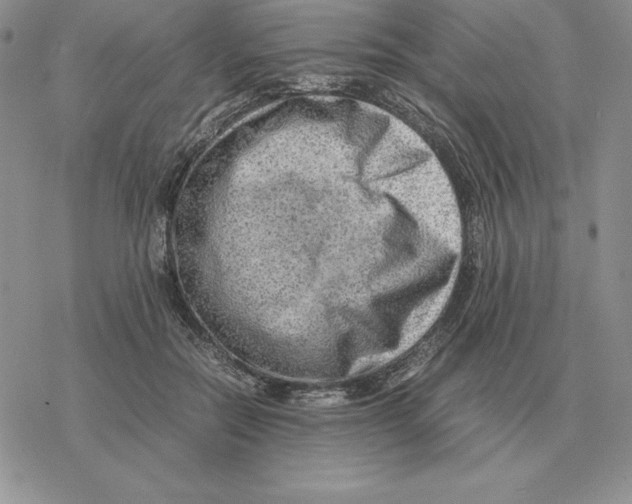 X0000077340554200611171835