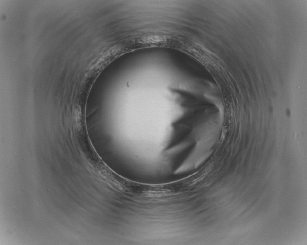 X0000077340556200611171835