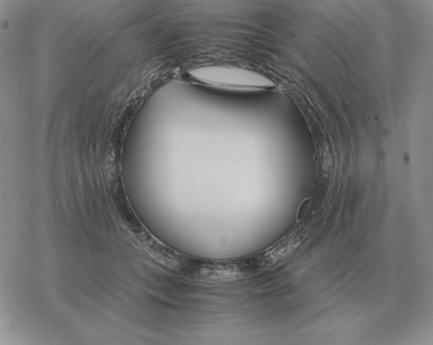 X0000077340559200611171835