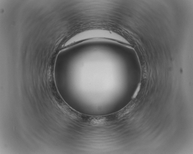 X0000077340560200611171835