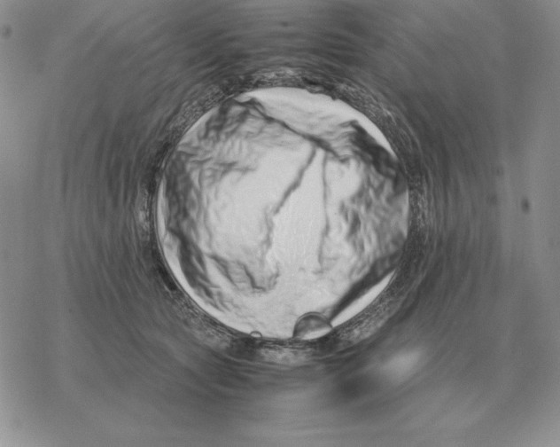 X0000077340561200611171835