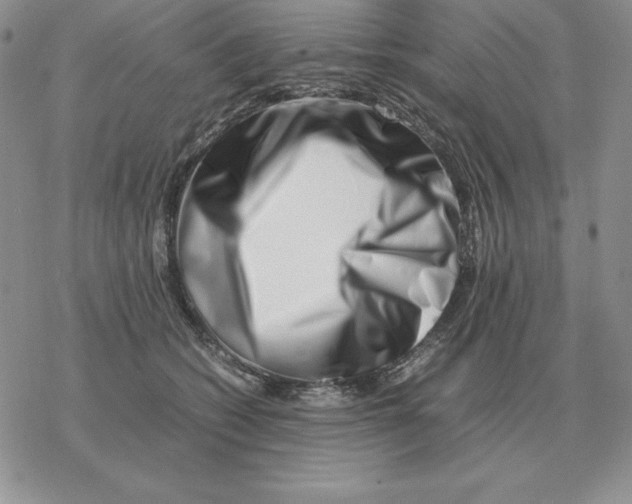 X0000077340562200611171835