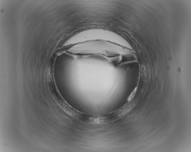 X0000077340564200611171835