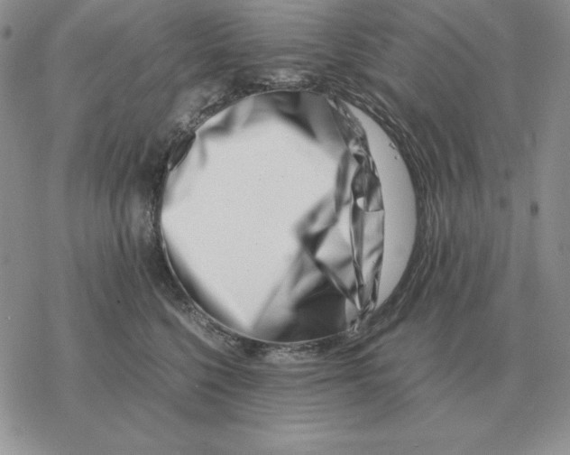 X0000077340568200611171835