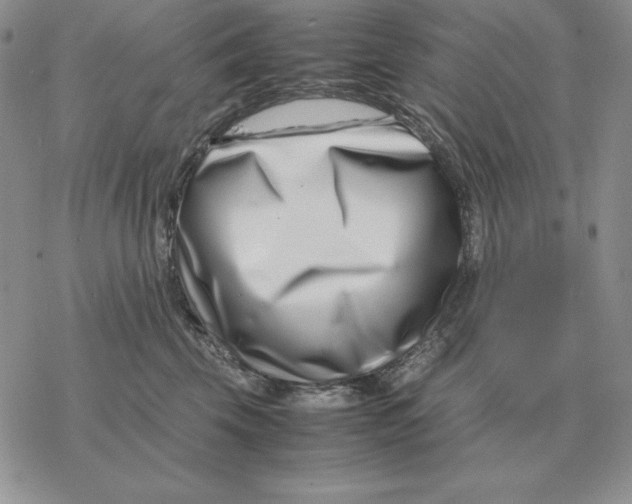 X0000077340569200611171835