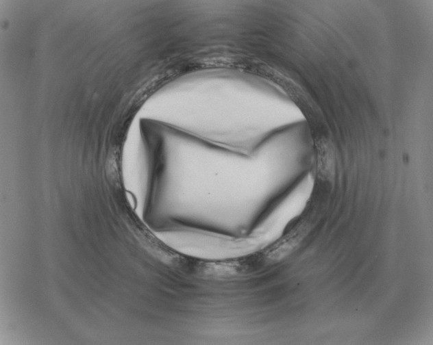 X0000077340573200611171835