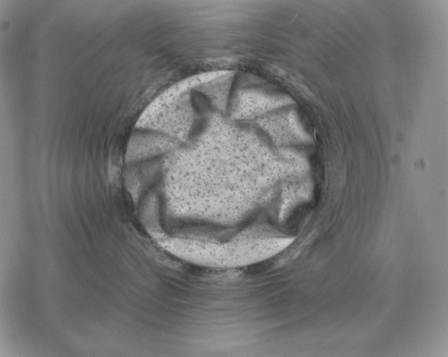 X0000077340576200611171835