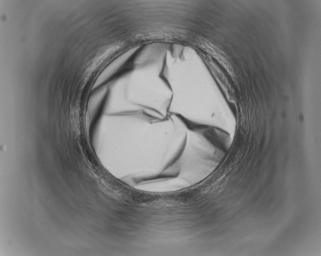 X0000077340578200611171835