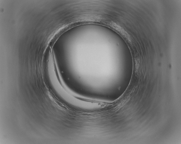 X0000077340580200611171835