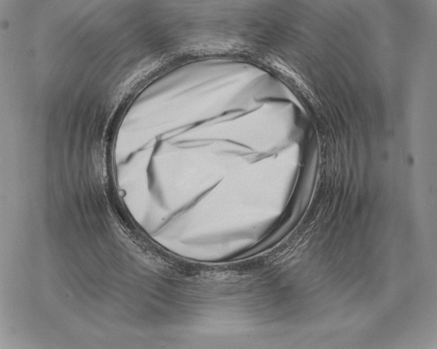 X0000077340582200611171835