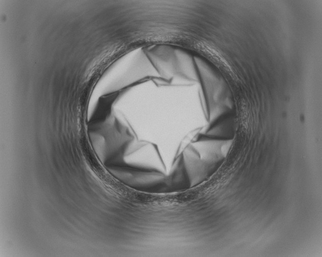 X0000077340586200611171835