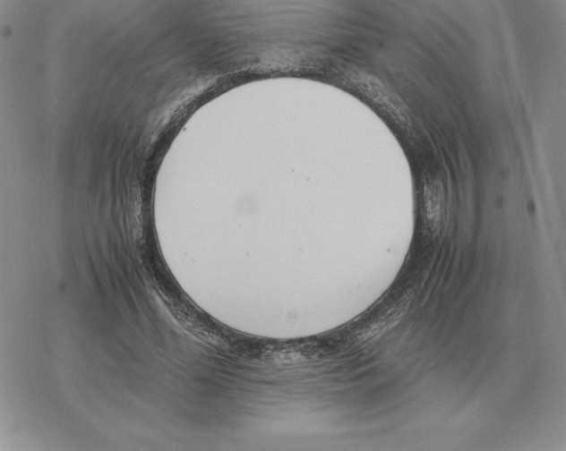 X0000077340588200611171835