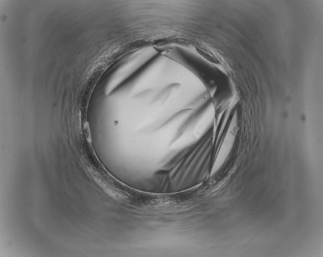 X0000077340589200611171834