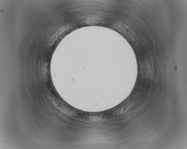 X0000077340592200611171834