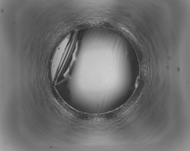 X0000077340593200611171834