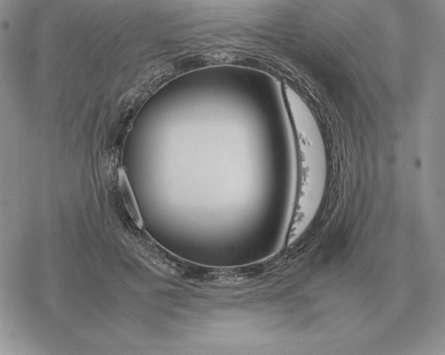 X0000077340601200611171834