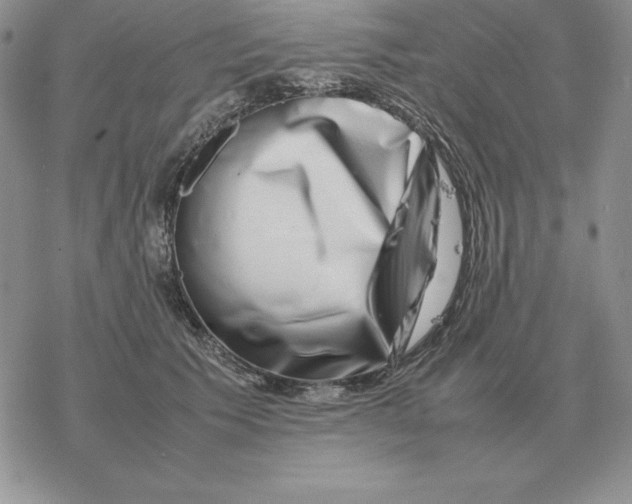 X0000077340609200611171834