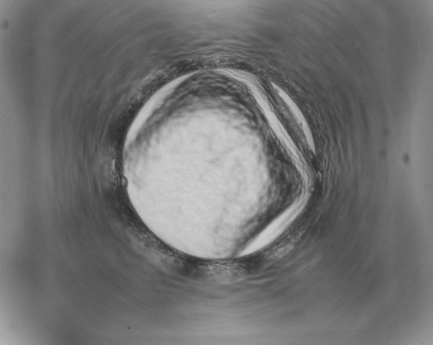X0000077340615200611171834