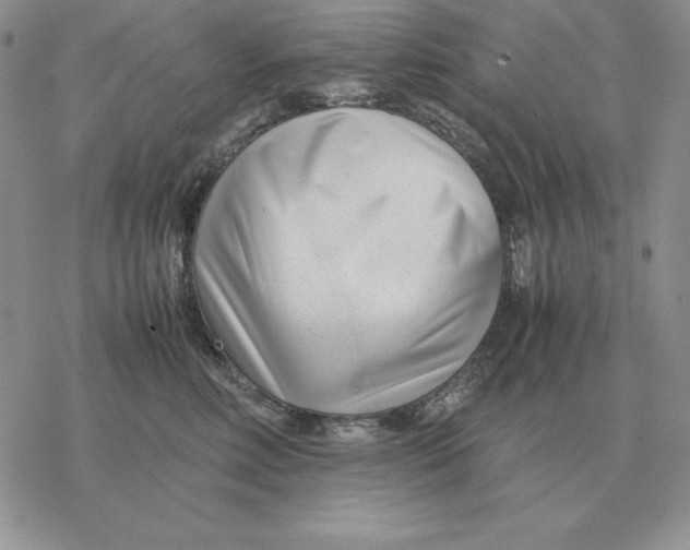 X0000077340618200611171834