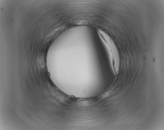 X0000077340620200611171834