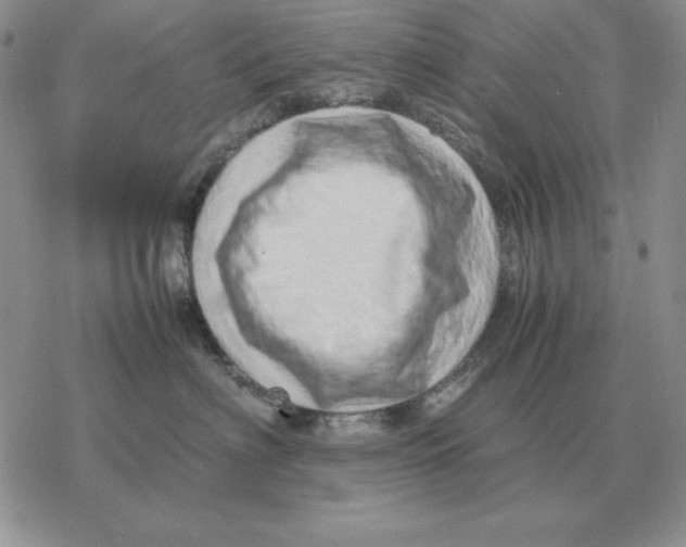 X0000077340622200611171834