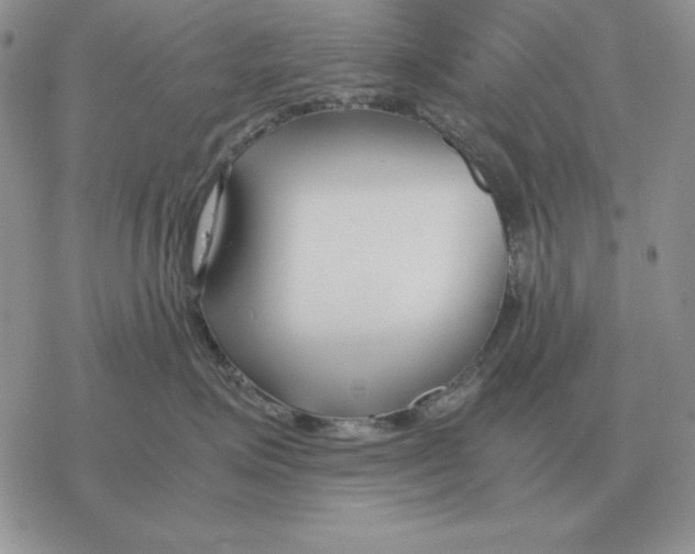 X0000077340623200611171834