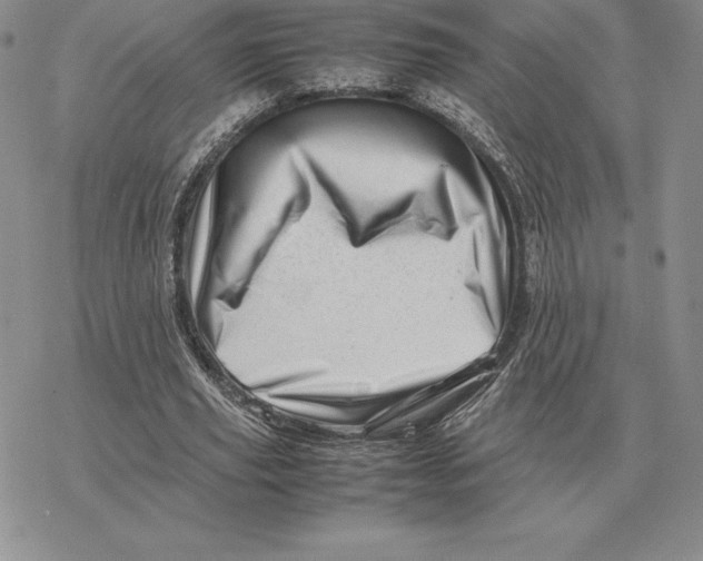 X0000077340629200611171833