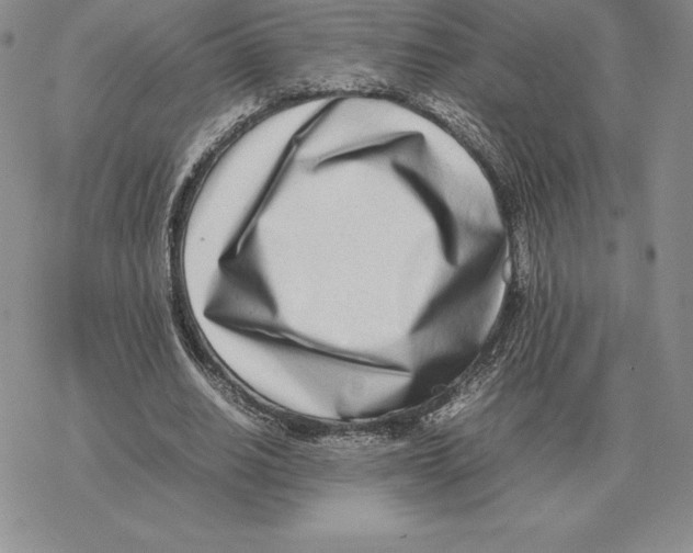 X0000077340630200611171833