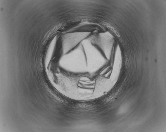 X0000077340633200611171833