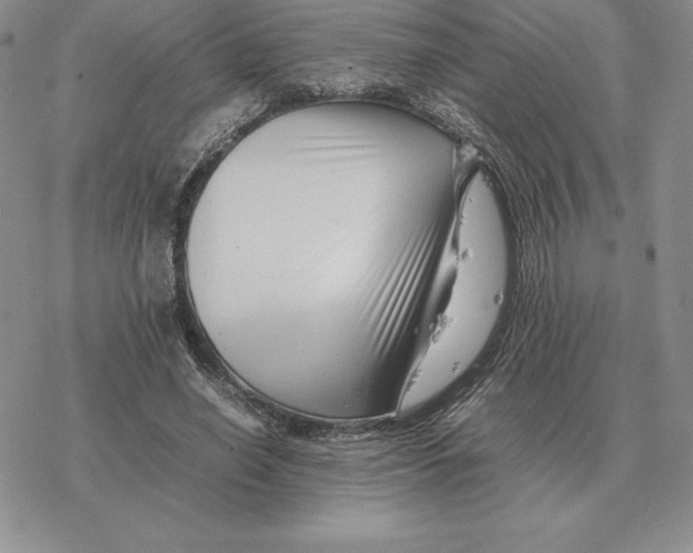 X0000077340638200611171833