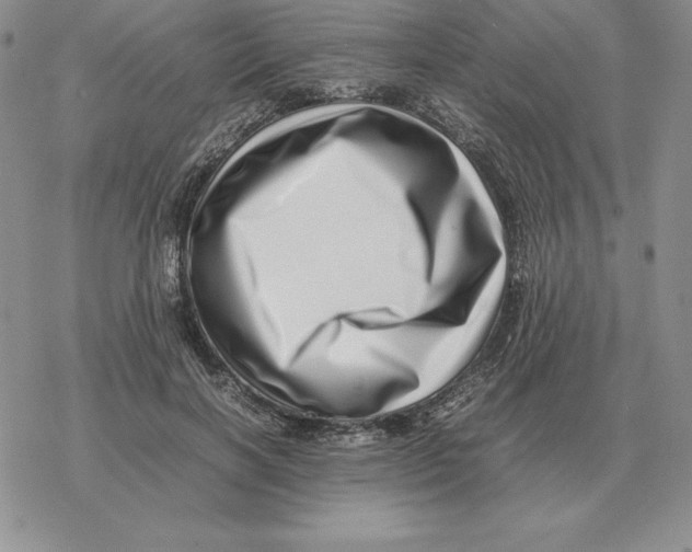 X0000077340646200611171833