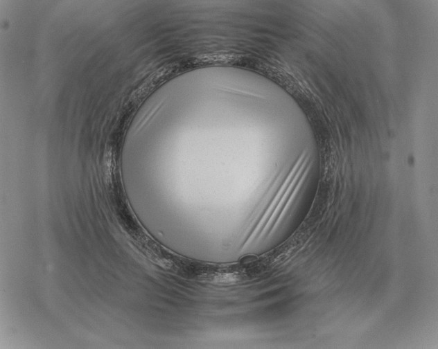 X0000077340647200611171833