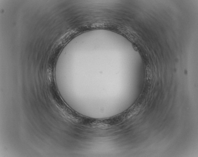 X0000077340648200611171834