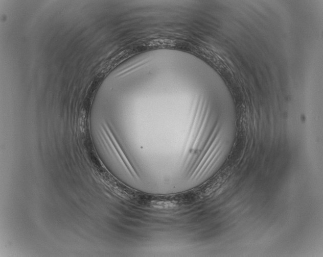 X0000077340649200611171834