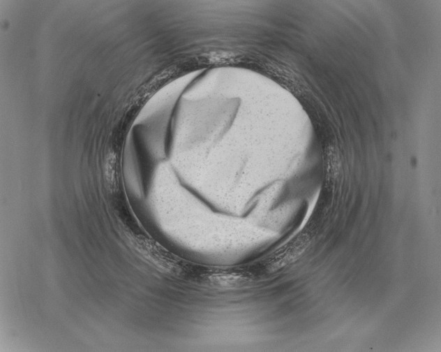 X0000077340650200611171834