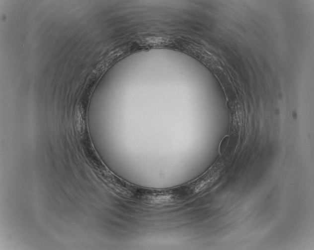X0000077340651200611171834