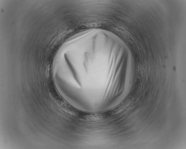 X0000077340652200611171834
