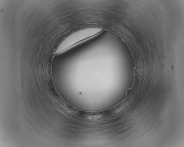 X0000077340653200611171834