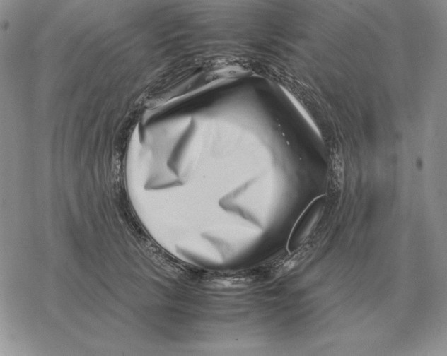 X0000077340657200611171834
