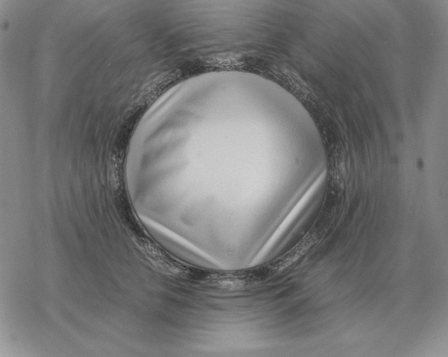 X0000077340658200611171834