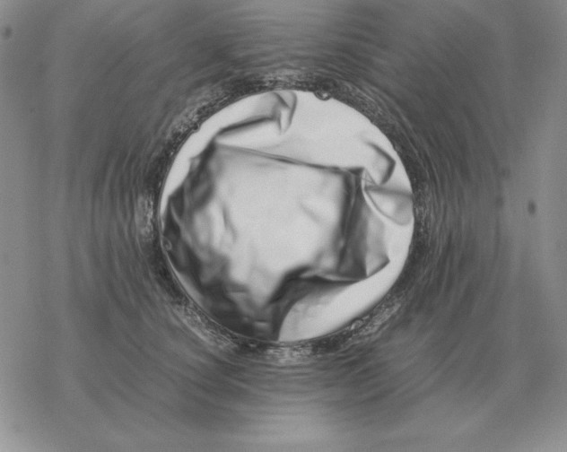 X0000077340660200611171834