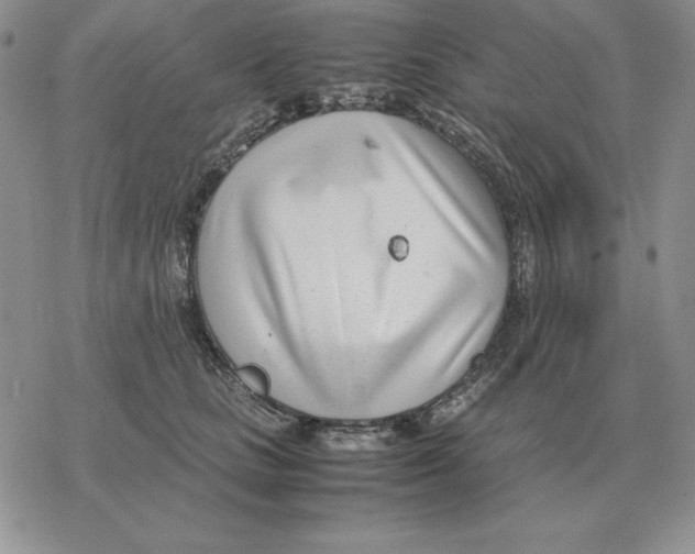 X0000077340661200611171834