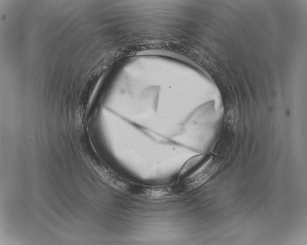 X0000077340662200611171834