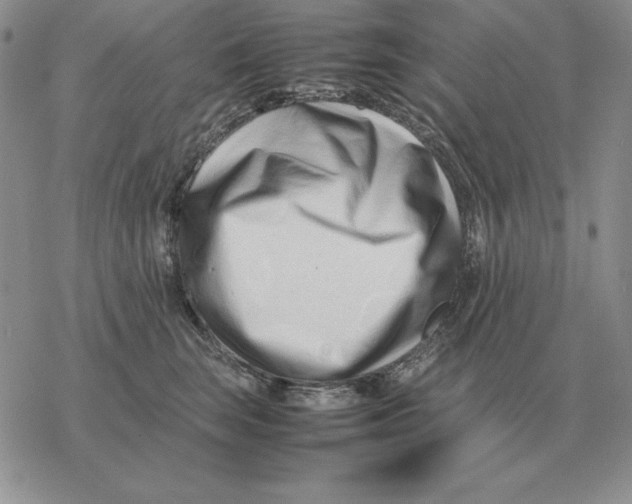 X0000077340663200611171834